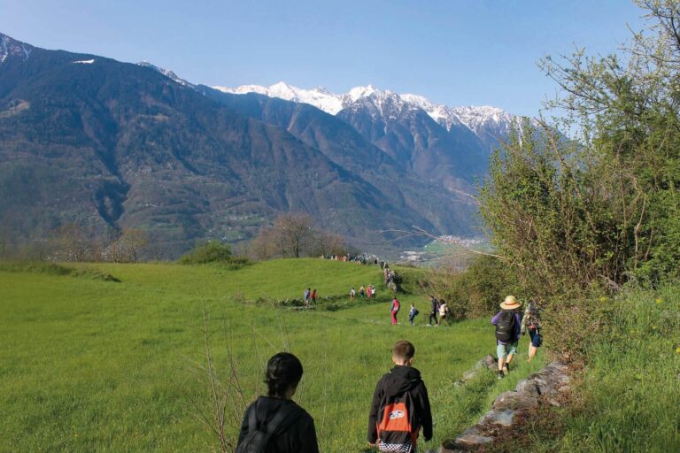 BioDi_Biodiversita a scuola Triangia 05